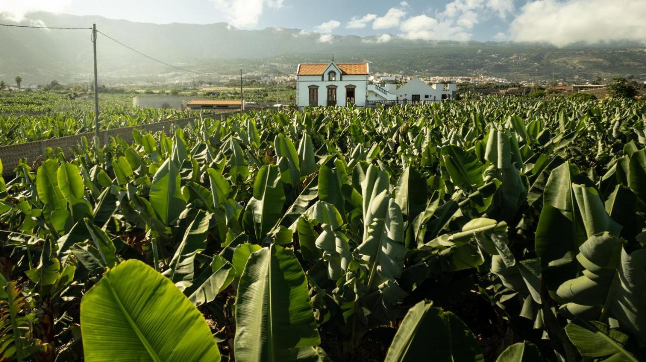 Hacienda Los Orovales Puerto de la Cruz  Exteriér fotografie