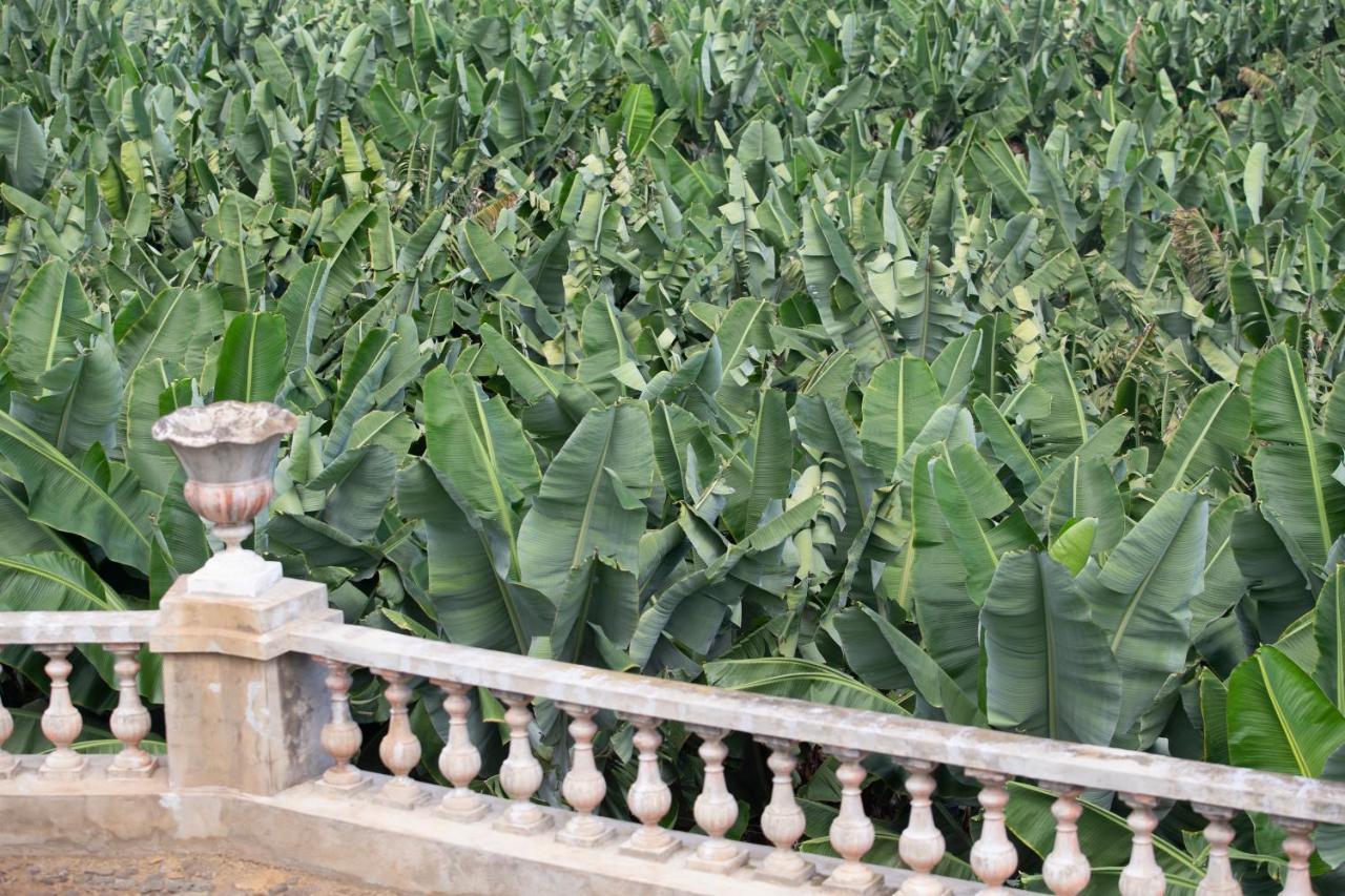 Hacienda Los Orovales Puerto de la Cruz  Exteriér fotografie