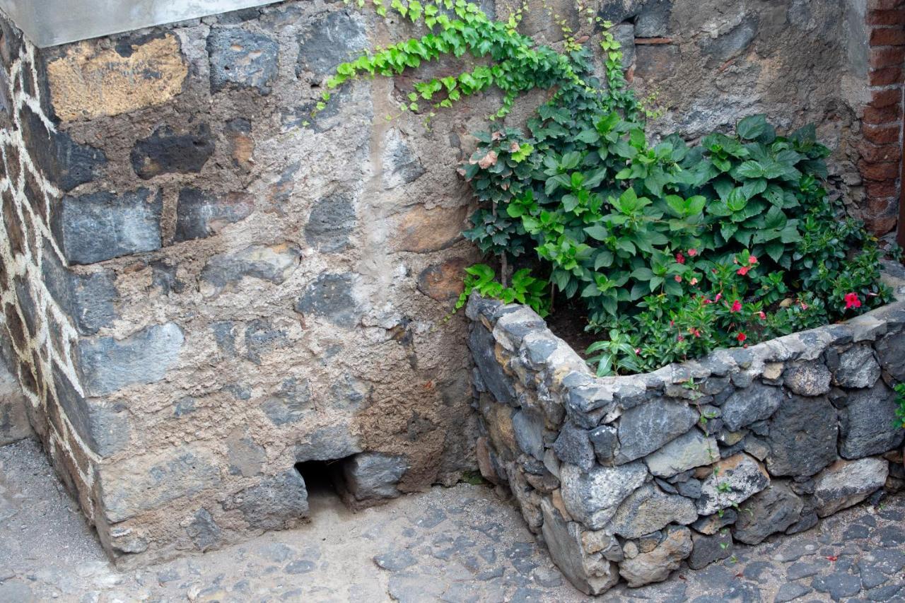 Hacienda Los Orovales Puerto de la Cruz  Exteriér fotografie